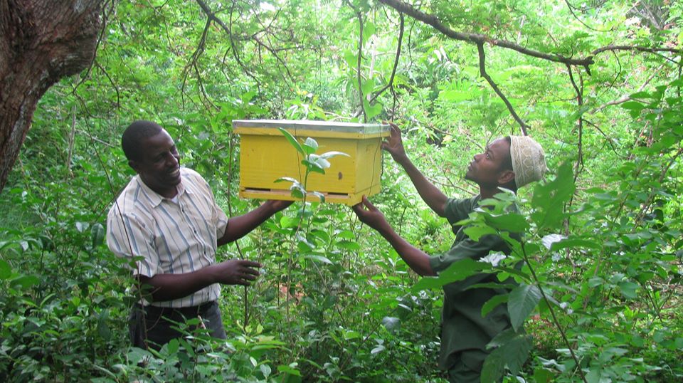 Fees in a bottle - Kenya Kesho Bee Hive program